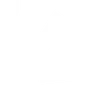 lines